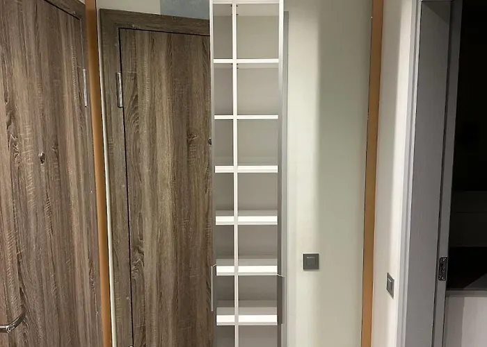 Bright With Castle View Kaunas